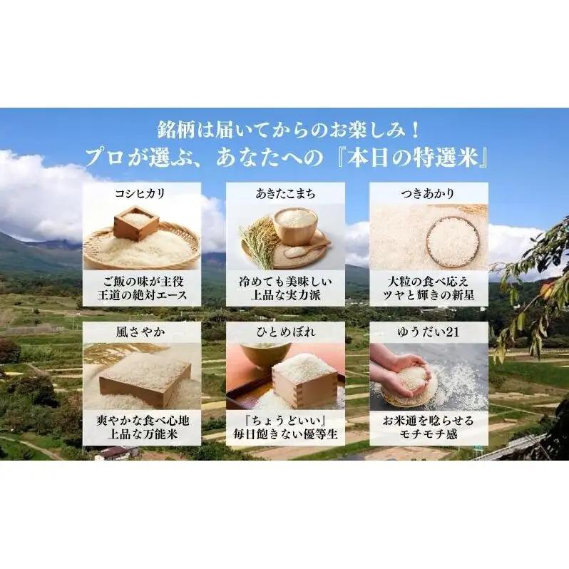 お米マイスターおすすめ小諸米 精米 2kg 3ヶ月定期便