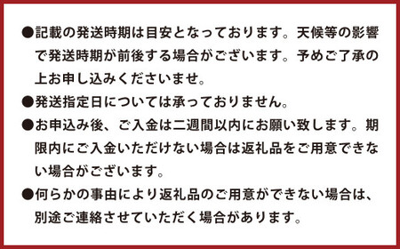 環境マイスターのグレープフルーツ 良品・訳あり混合 20kg （栽培期間中は無肥料・農薬不使用） 果物 くだもの フルーツ グレープフルーツ 柑橘 【2026年3月下旬～5月下旬迄順次発送予定】