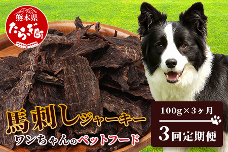 【 定期便3回 】ペット用 熊本加工 手作り 馬肉 ジャーキー 【100g×3回】 ドッグ フード ペット おやつ 食事 無添加 無香料 ヘルシー 高栄養 馬肉 ペット お肉専門店 熊本県 馬肉 国内