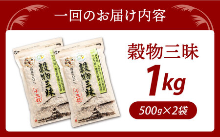 【全3回定期便】穀物三昧 500g×2袋【葦農】 HAJ002 麦ごはん 雑穀米 古代米