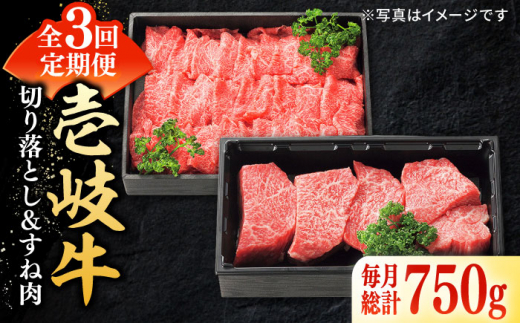 【全3回定期便】＼ぐるナイで紹介／ 特選 壱岐牛 切り落とし（450g）＆すね肉（300g）《壱岐市》【太陽商事】[JDL099] 肉 牛肉 切り落とし 切落し 薄切り すき焼き しゃぶしゃぶ カレー シチュー 煮込み 定期便 55000 55000円 ゴチになります 壱岐牛 ぐるナイ