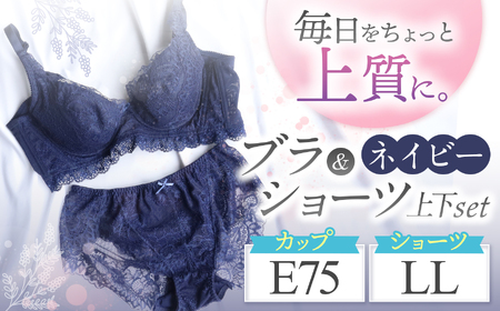 ブラ＆ショーツ 上下セット ネイビー E75＆ショーツ LL | 女性用下着 レディース ブラ＆ショーツ ブラ ショーツ ネイビー 上下セット 君津市 きみつ 千葉県