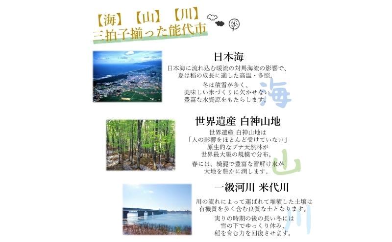 令和7年産 新米 食べ比べ セット 玄米 ひとめぼれ＆あきたこまち 各5kg 計10kg 秋田県 能代市産 お米 ブランド米