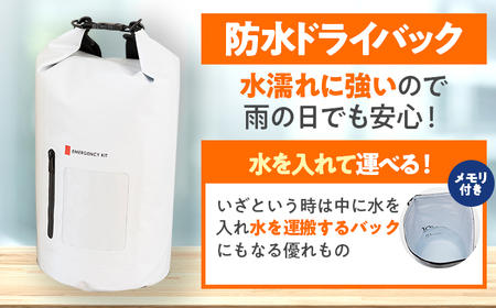 緊急防災１７点セット｜防災グッズ 1人用 災害グッズ 防災バッグ 防災リュック 避難グッズ 避難セット 防災 食 女性 トイレ 水 食品 非常食 ライト 地震 台風 送料無料 （8-1000E）