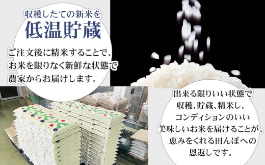 【令和8年12月7日～13日発送】【令和8年産 新米】 工藤さんの特別栽培米 雪若丸 無洗米 10kg（5kg×2袋） 山形県鶴岡市産 株式会社サンエイファーム　| 米 特栽 国産 米どころ 庄内米 