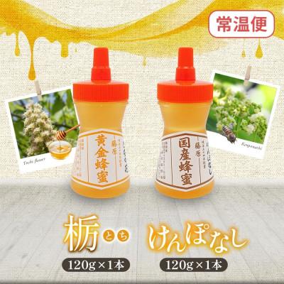 ふるさと納税 盛岡市 藤原国産蜂蜜 栃&けんぽなし 計240g 完熟 単花蜜 藤原養蜂場 岩手県盛岡市 |  | 03