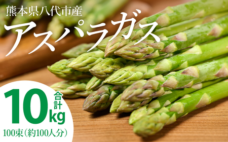 【先行予約】 熊本県 八代市産 アスパラガス 10kg 新鮮 アスパラ 野菜 やさい 旬 【2026年4月上旬より順次発送】