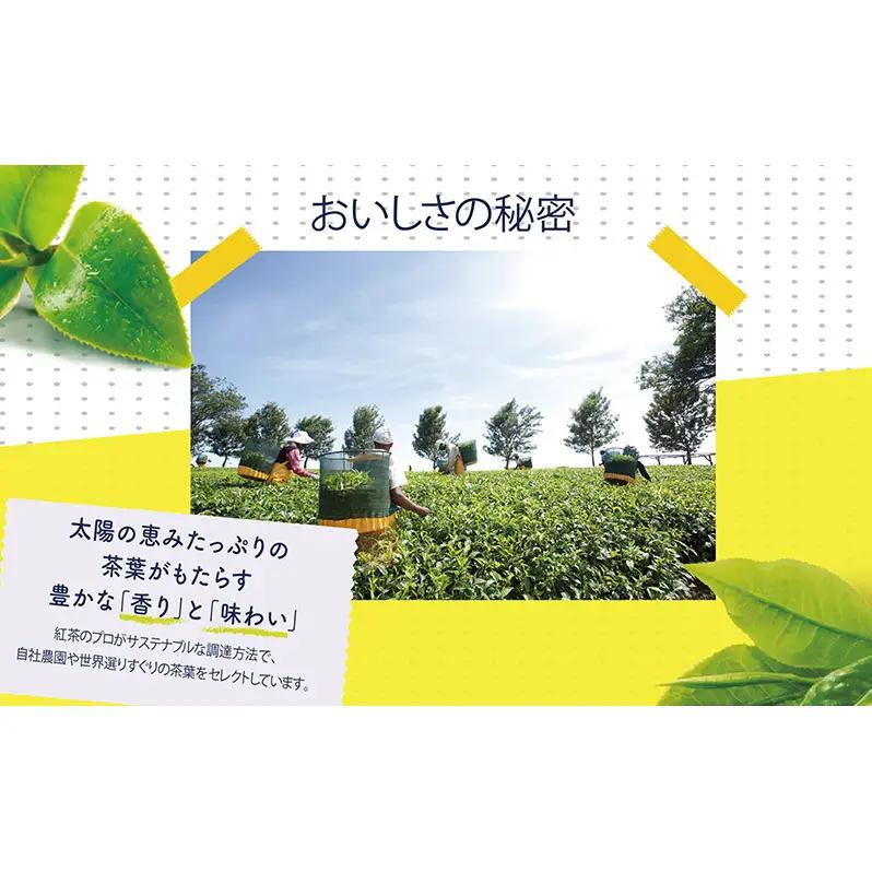 リプトン グリーンティー ピーチ ティーバッグ 14袋 飲料 お茶 茶 緑茶 苦み控えめ 桃 もも ティーバッグ リラックス リフレッシュ