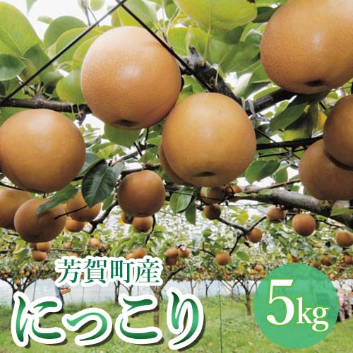 【ふるさと納税】【先行予約】「にっこり」 梨 5kg 箱 6～8玉 栃木県 芳賀町産 | 梨 なし 果物 フルーツ 秋 旬 国産 産地直送 期間限定 季節限定 季節商品 送料無料 栃木県 芳賀町 ※離島への配送不可 ※2025年10月上旬～11月上旬頃に順次発送予定