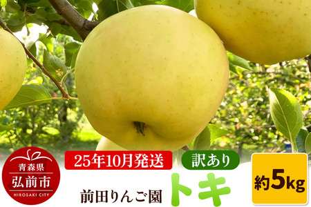 【レビューキャンペーン】【25年10月発送】りんご【訳あり】トキ 約5kg  前田りんご園