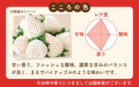 【先行予約 2027年1月～発送】こころの色×かおり野 紅白いちごセット  計920g  いちご