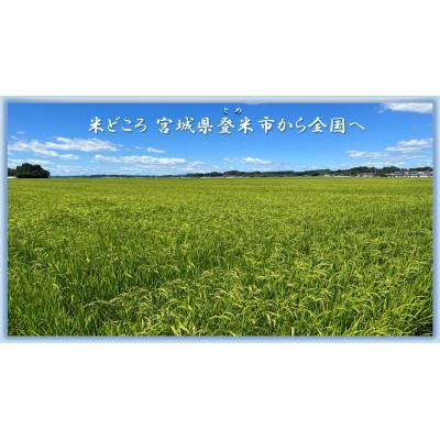 ふるさと納税 登米市 【精米】令和7年宮城県登米市産「ひとめぼれ」10kg×1袋 |  | 01