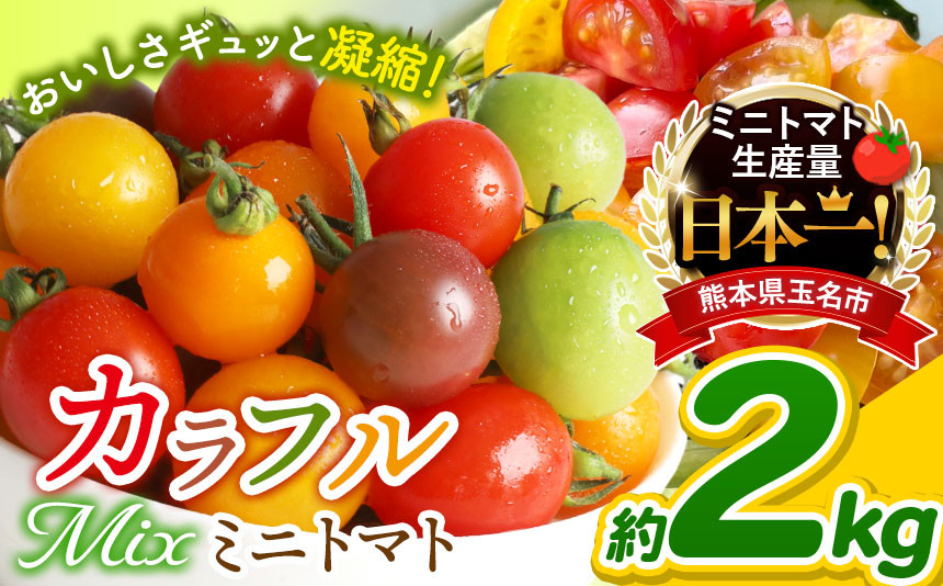 
ミニトマト 生産量 日本一 玉名市 !! 彩りセット （ミックス） 2kg | カラフル トマト とまと トマト ミニトマト トマト ミニトマト 熊本県 サザキ農園 トマト ミニトマト
