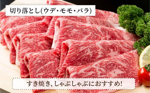 【肉のプロが厳選！】【全3回】佐賀県産和牛 極上定期便【株式会社いろは精肉店】 [IAG071]