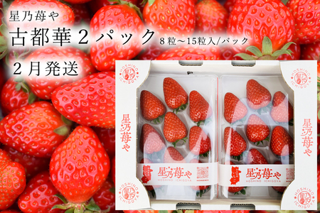 いちご 奈良県ブランドいちご 古都華2パック2月発送