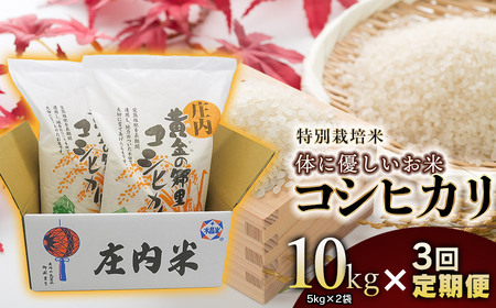 【3回定期便】【令和7年産】【新米】 特別栽培米 体に優しいお米・こしひかり 10kg(5kg×2)×3回 山形県庄内産　鶴岡米穀商業協同組合