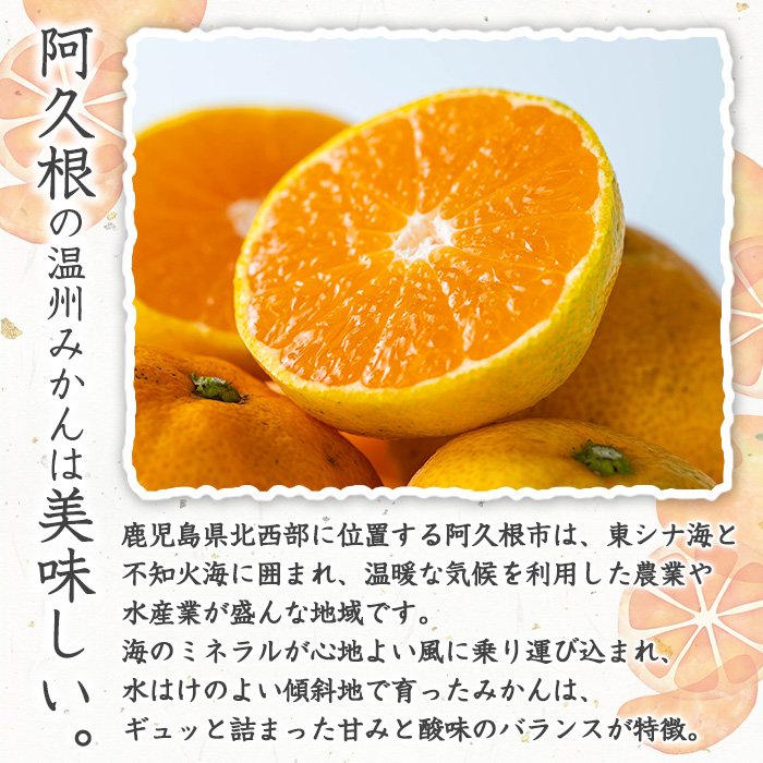 ＜先行予約受付中！2026年9月下旬以降順次発送予定＞数量限定！竹ん子山の早生みかん(約5kg) 国産 鹿児島県産 阿久根産 ミカン 蜜柑 みかん 柑橘 果物 フルーツ 温州みかん 早生みかん 果実 