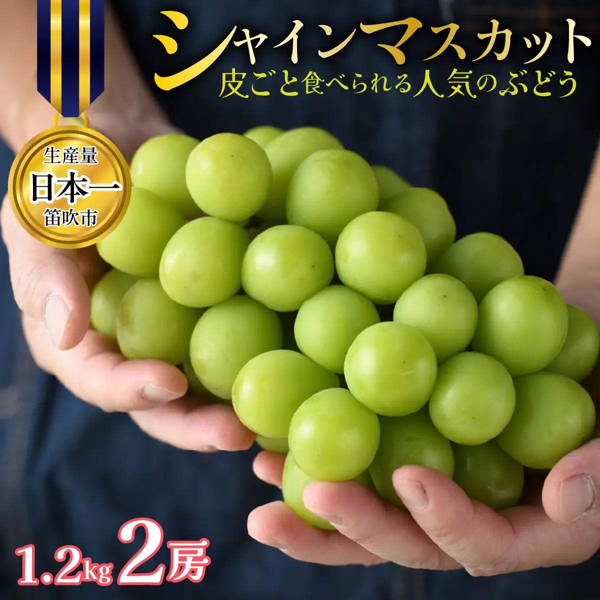【2027年発送★先行予約】山梨県笛吹市産 シャインマスカット 2房 約1.2kg 皮ごと食べられる人気のぶどう 262-006-27y