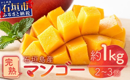 
            石垣島産　完熟マンゴー１ｋｇ（アーウィン種） 《2025年6月中旬から7月下旬順次発送》｜ ふるさと納税 マンゴー フルーツ 沖縄県 石垣市 FF-1
          