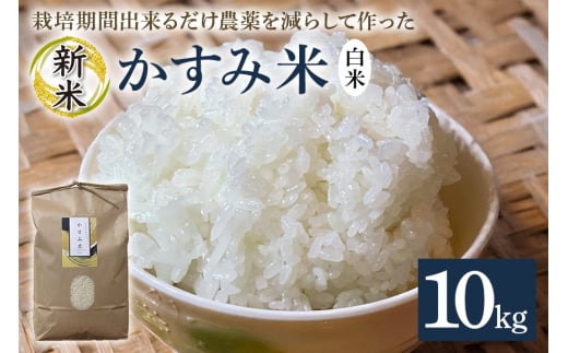 令和7年産新米 白米 10kg 栽培期間出来るだけ農薬を減らして作った「かすみ米」 茨城県産 コシヒカリ 米 お米 ご飯 ごはん 低農薬 しめじ菌床活用 甘み豊か 粘土質土壌育ち 健康志向 自然栽培 産地直送 贈答用 ギフト 茨城県 潮来市 (A03-009)