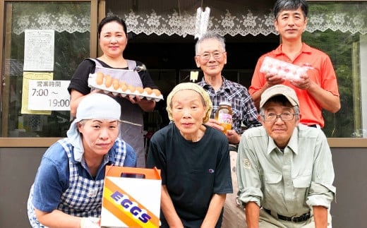 【定期便6回】球磨球子 80個×6回 合計480個 鶏卵 卵 玉子 たまご くまたまご