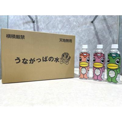 ふるさと納税 多治見市 【1】うながっぱの水　1ケース