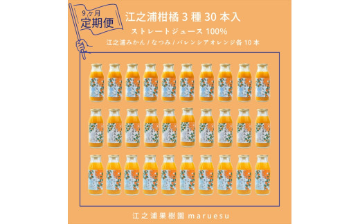 【定期便 9回】 小田原産江之浦みかんジュース３種のみくらべ３０本セット うんしゅう・なつみ・バレンシアオレンジ１００％ストレートジュース１８０ml各１０本合計３０本 142069_GJ105