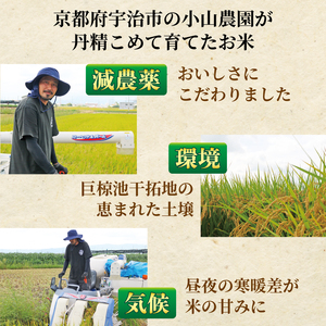 一等品 京都府産 ヒノヒカリ 5kg 玄米 宇治 ごはん ひのaひかり 令和6年産 京都 京都府 減農薬 EJ04