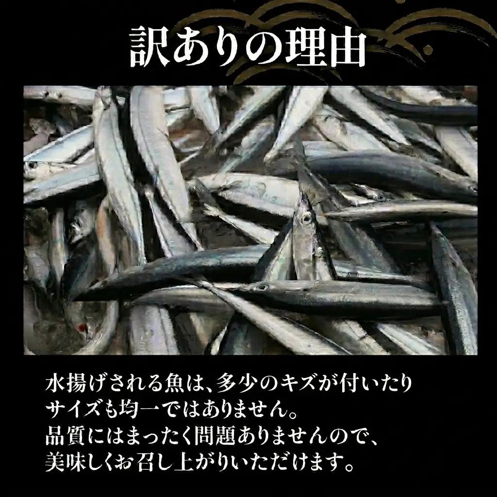 訳あり さんま 2kg 傷あり サイズ不揃い サンマ 秋刀魚 海鮮 魚 焼き魚 新鮮 鮮魚 秋 生さんま 産地直送 国産 三陸 大船渡