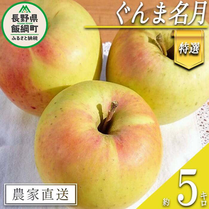 【ふるさと納税】 りんご ぐんま名月 特選 5kg やまじゅうファーム 沖縄県への配送不可 令和7年度収穫分 信州の環境にやさしい農産物 減農薬栽培 長野県 飯綱町 【 信州 果物 フルーツ リンゴ 林檎 長野 19000円 】発送時期：2025年11月下旬〜2025年12月上旬{***}