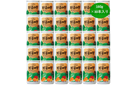 【ふるなびWEEK対象】ふらの 野菜の里 160g×30本入　野菜 果物 ミックスジュース ( ジュース 野菜ジュース 飲み物 缶 北海道 送料無料 道産 富良野市 ふらの )