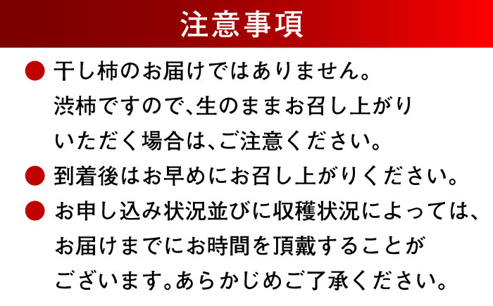 【先行予約】【11月上旬より順次発送】手作り干し柿用 渋柿 あたご柿 M~2L 10kg(約30玉〜45玉)　愛媛県大洲市/沢井青果有限会社 [AGBN022]秋 フルーツ 果物 柿ジャム かき 柿レ