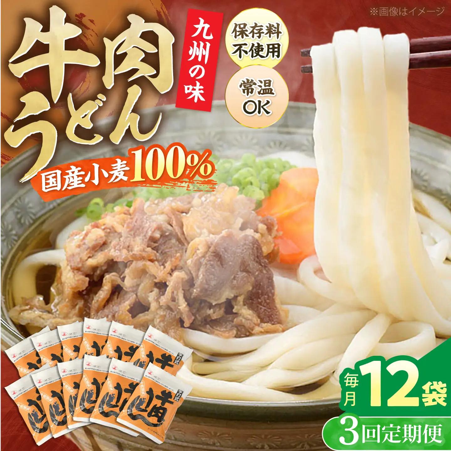 【全3回定期便】牛肉うどん12食 VAI046 肉うどん