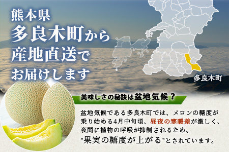 【2027年4月中旬～発送 先行予約】アンデスメロン 4玉〜6玉（約5kg）多良木町 熊本県 メロン フルーツ 果物 期間限定 数量限定