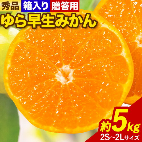 【ふるさと納税】【先行予約】秀品 贈答用 ゆら 早生みかん 約 5kg (2S〜2Lサイズ) 笑いの里のTommyファーム《2025年10月中旬-11月末頃出荷》和歌山県 日高川町 みかん 早生 贈答用 旬 柑橘 フルーツ 果物 ミカン 柑 産地直送 箱入り ギフト