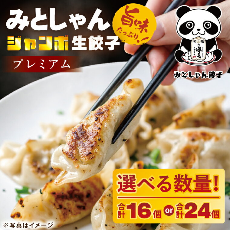 【ふるさと納税】【選べる内容量】旨味たっぷり！本場プロの中華料理人が作る みとしゃんジャンボ餃子プレミアム 【香香 シャンシャン 中華 人気 老舗 焼き餃子 冷凍 ぎょうざ ギョーザ シューマイ簡単調理 惣菜 おかず 水戸市 茨城県】（CS-8｜CS-9）
