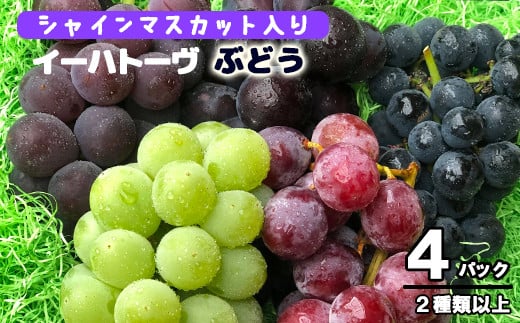 
            ＜予約受付開始！＞シャインマスカット入り！家庭用 ぶどう 詰め合わせセット 4パック入り 【747】
          