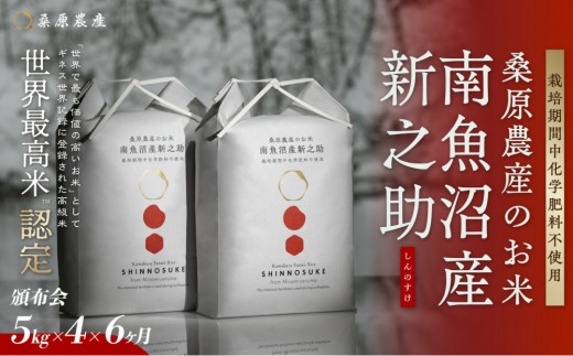 【令和8年産新米】【頒布会】ギネス世界記録「世界最高米」認定 最高級　南魚沼産新之助5kg×4　6ヵ月 　桑原農産のお米(精米)【2026年10月下旬より1ヶ月以内に順次発送予定】