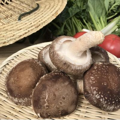 ふるさと納税 潮来市 【白米5kg】『身体が喜ぶ野菜とお米』詰め合わせ(おまかせ)潮来はぐくみのもり |  | 02