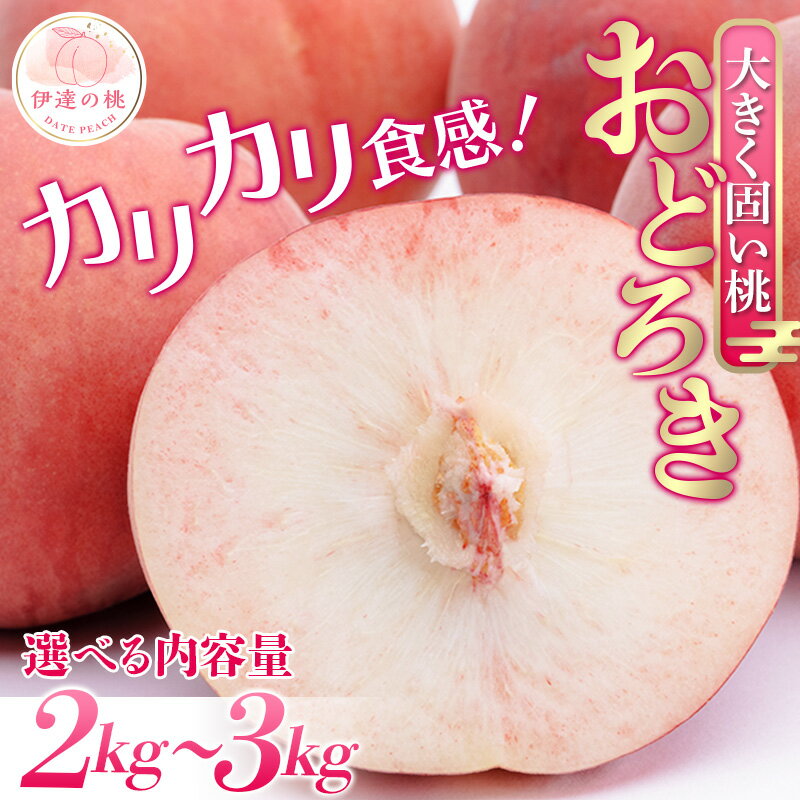 【ふるさと納税】2025年出荷分 先行予約数量が選べる 福島県産 おどろき 約2kg 約3kg 2025年8月上旬〜2025年8月中旬発送 先行予約 予約 固め 固い桃 伊達の桃 桃 もも モモ 果物 くだもの フルーツ 食品 F20C-496var