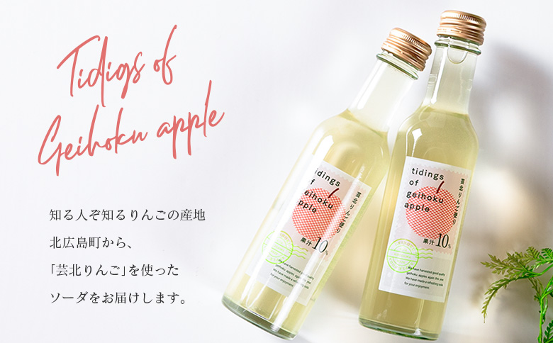 芸北りんご便り（りんごソーダ）20本セット