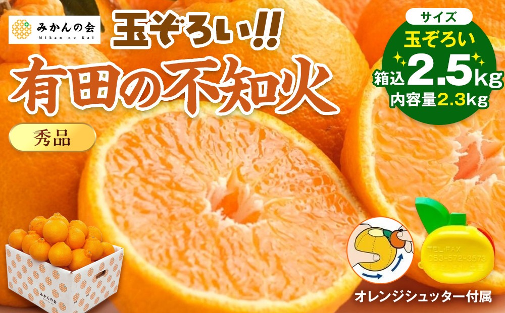 不知火 (しらぬい) 秀品 玉ぞろい 箱込 2.5kg (内容量約2.3kg)  和歌山県産 産地直送［みかんの会］ 	AX138