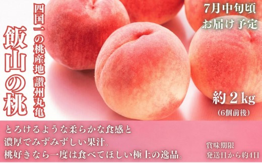 フルーツ 定期便 4回　旬に出逢う城下町の果実 定期配送 いちご 桃 シャインマスカット みかん ぶどう 果実 果物 フルーツ 旬のフルーツ フルーツギフト フルーツ定期 フルーツ定期便 果物定期 果