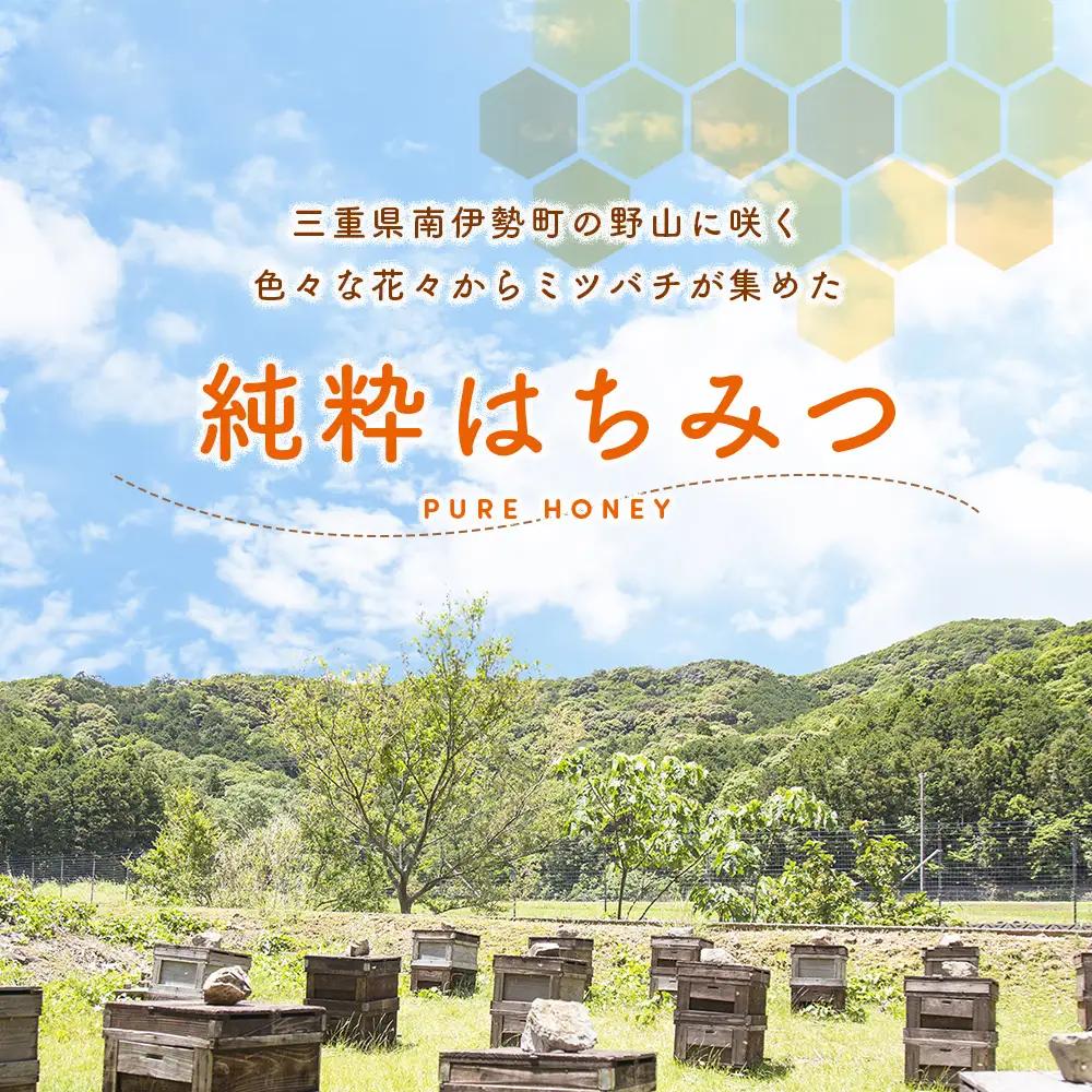 はちみつ 百花蜜 500g 2本 長谷川養蜂 | はちみつ 国産 無添加 蜂蜜 三重県 伊勢 志摩