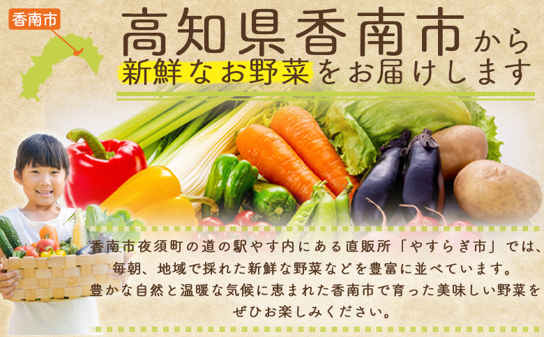 【2026年1月以降発送】フルーツトマト 2kg 家庭用 - 国産 青果 野菜 トマト 訳あり ご家庭用 甘い 酸味 不揃い 傷 やすらぎ市 高知県 香南市 冷蔵 yr-0067
