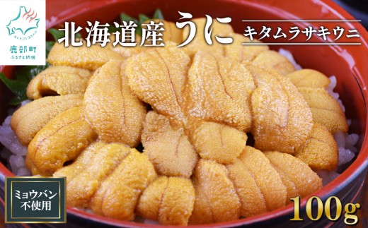 北海道産 うに100g キタムラサキウニ ミョウバン不使用 ふり塩うに 冷凍保存