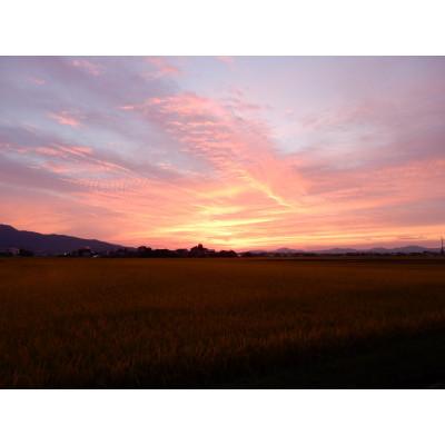 ふるさと納税 鶴岡市 【令和7年産】山形県鶴岡産特別栽培米 はえぬき白米 精米 10kg[k-777] |  | 03