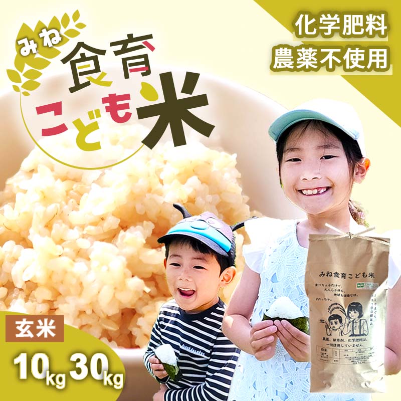 【ふるさと納税】令和7年産 新米 みね食育こども米 玄米 10kg 30kg 先行予約 ＜9月中旬以降 発送予定＞ | 山口県 山口 美祢 楽天ふるさと ふるさと 納税 支援品 返礼品 支援 返礼 米 国産 玄米 食育 農薬不使用 健康 有機 ご当地 お土産 名産品 特産品 土産