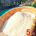 【ふるさと納税】京都丹波産 コシヒカリ 佐伯の里の源流米 5kg［新米・令和6年産米・先行予約・令和7年産米］ 白米 5キロ 低農薬米 減農薬米 こしひかり ※北海道・沖縄・離島への配送不可 発送月選択