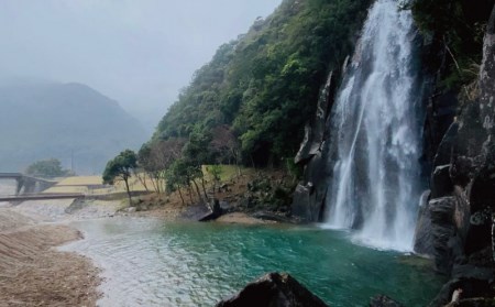 米 お米 国産  数量限定 飛雪(ひせつ)米(結びの神) 3kg【2023年9月中旬頃から順次発送】【hsj004】